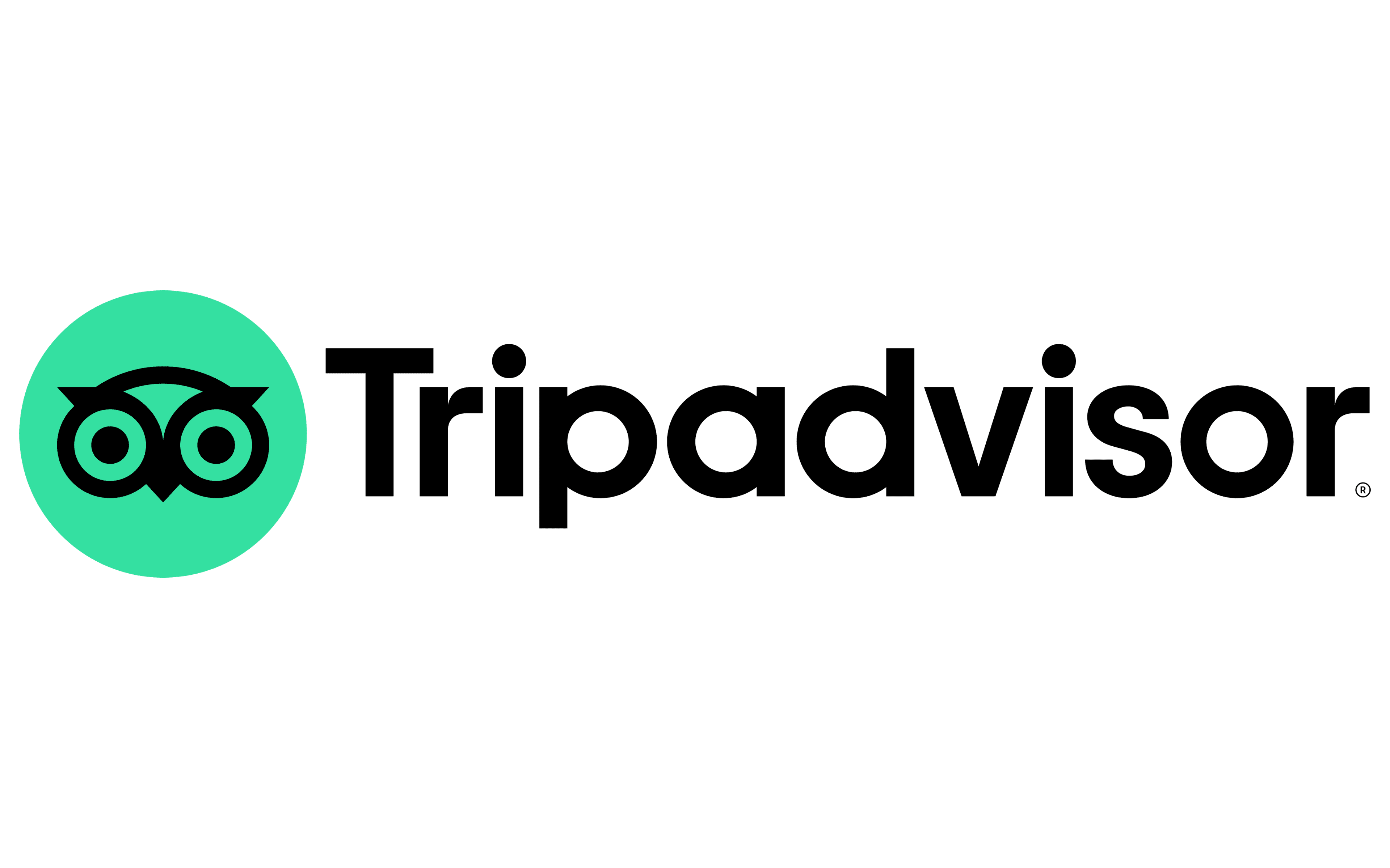 Trip advisor logo