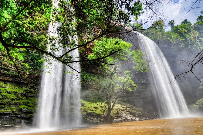 Boti Waterfalls & Botanical gardens experience.