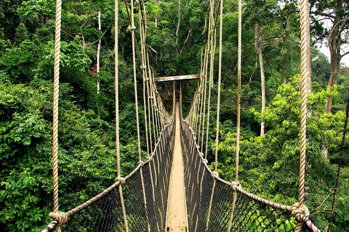 Kakum National Park